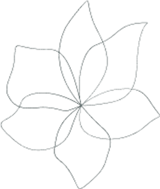 Flower Outline